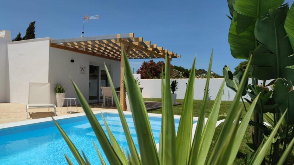 Palapa Garden Alojamientos, Piscina Privada Y Cerca Del Mar Chiclana de la Frontera Zewnętrze zdjęcie